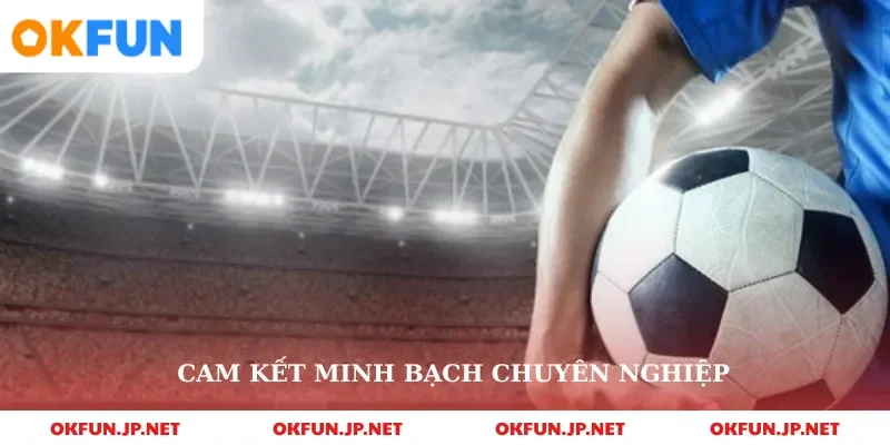 Cam kết minh bạch chuyên nghiệp