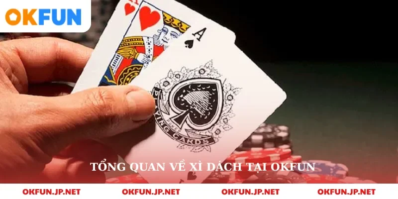 Tổng quan về xì dách tại okfun
